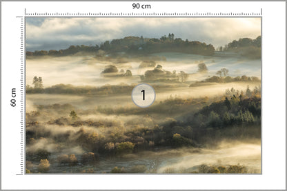 Fototapeta Las We Mgle Na Rozległej Równinie 90 × 60 cm – podgląd kadru