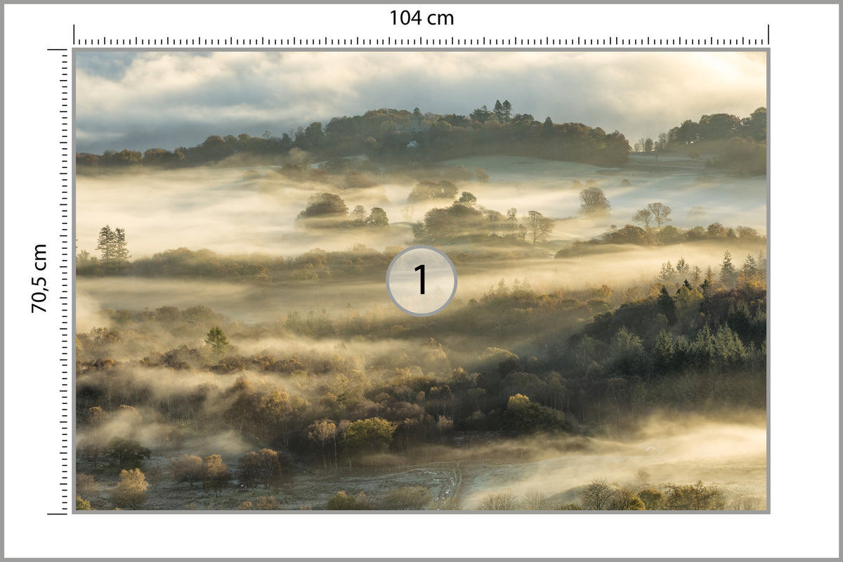 Fototapeta Las We Mgle Na Rozległej Równinie 104 × 70,5 cm – podgląd kadru
