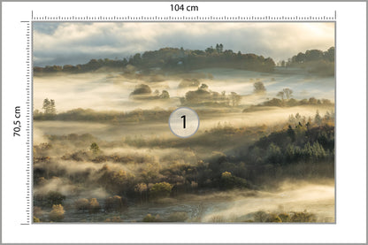 Fototapeta Las We Mgle Na Rozległej Równinie 104 × 70,5 cm – podgląd kadru