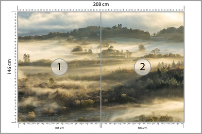 Fototapeta Las We Mgle Na Rozległej Równinie 208 × 146 cm – podgląd kadru
