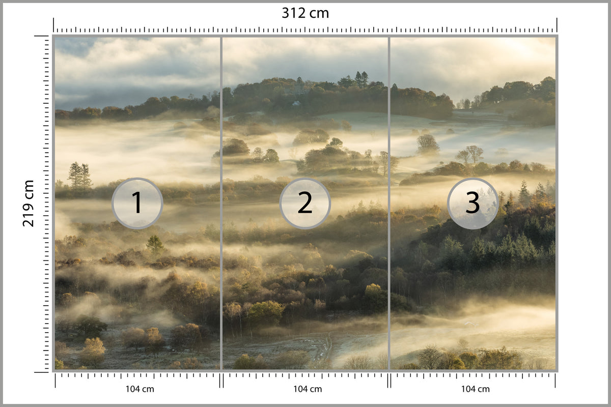 Fototapeta Las We Mgle Na Rozległej Równinie 312 × 219 cm – podgląd kadru