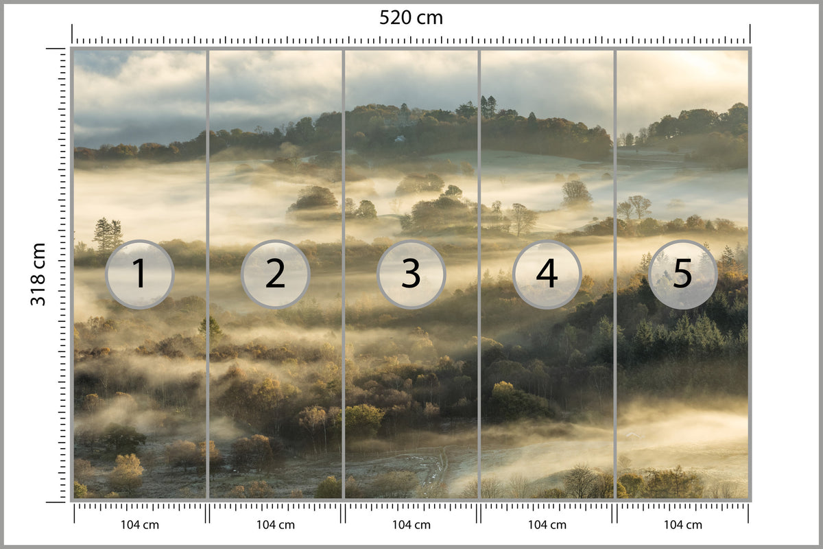 Fototapeta Las We Mgle Na Rozległej Równinie 520 × 318 cm – podgląd kadru