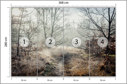 Fototapeta Las We Mgle Jesienna Ścieżka 368 × 280 cm – podgląd kadru