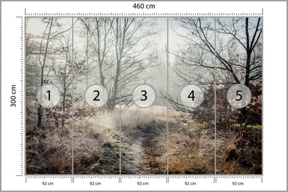 Fototapeta Las We Mgle Jesienna Ścieżka 460 × 300 cm – podgląd kadru