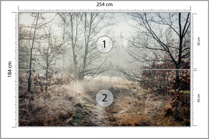 Fototapeta Las We Mgle Jesienna Ścieżka 254 × 184 cm – podgląd kadru