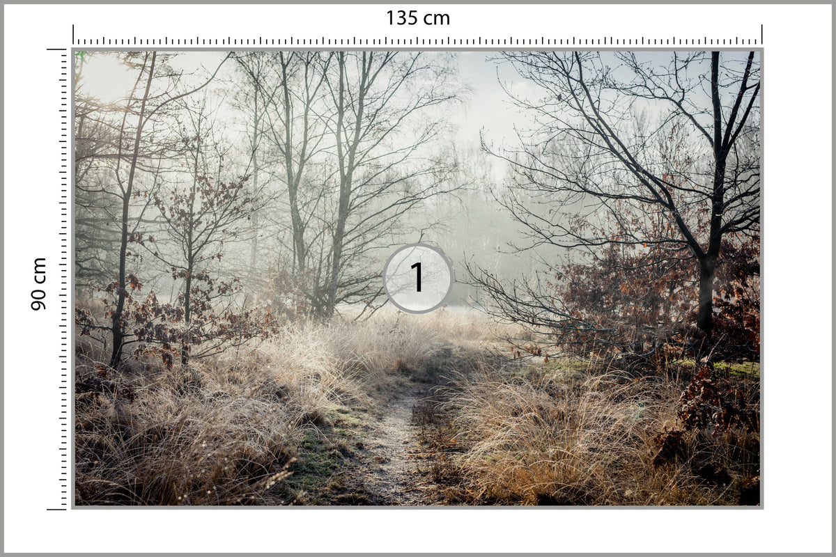 Fototapeta Las We Mgle Jesienna Ścieżka 135 × 90 cm – podgląd kadru