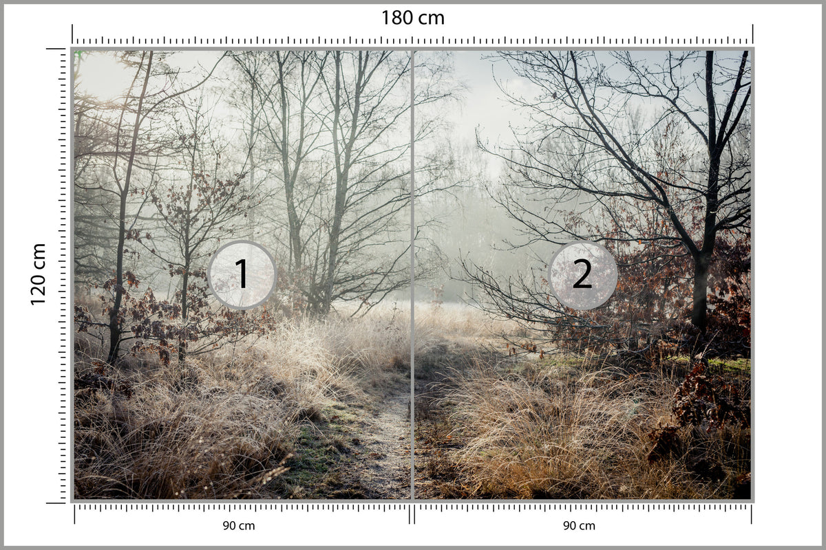 Fototapeta Las We Mgle Jesienna Ścieżka 180 × 120 cm – podgląd kadru