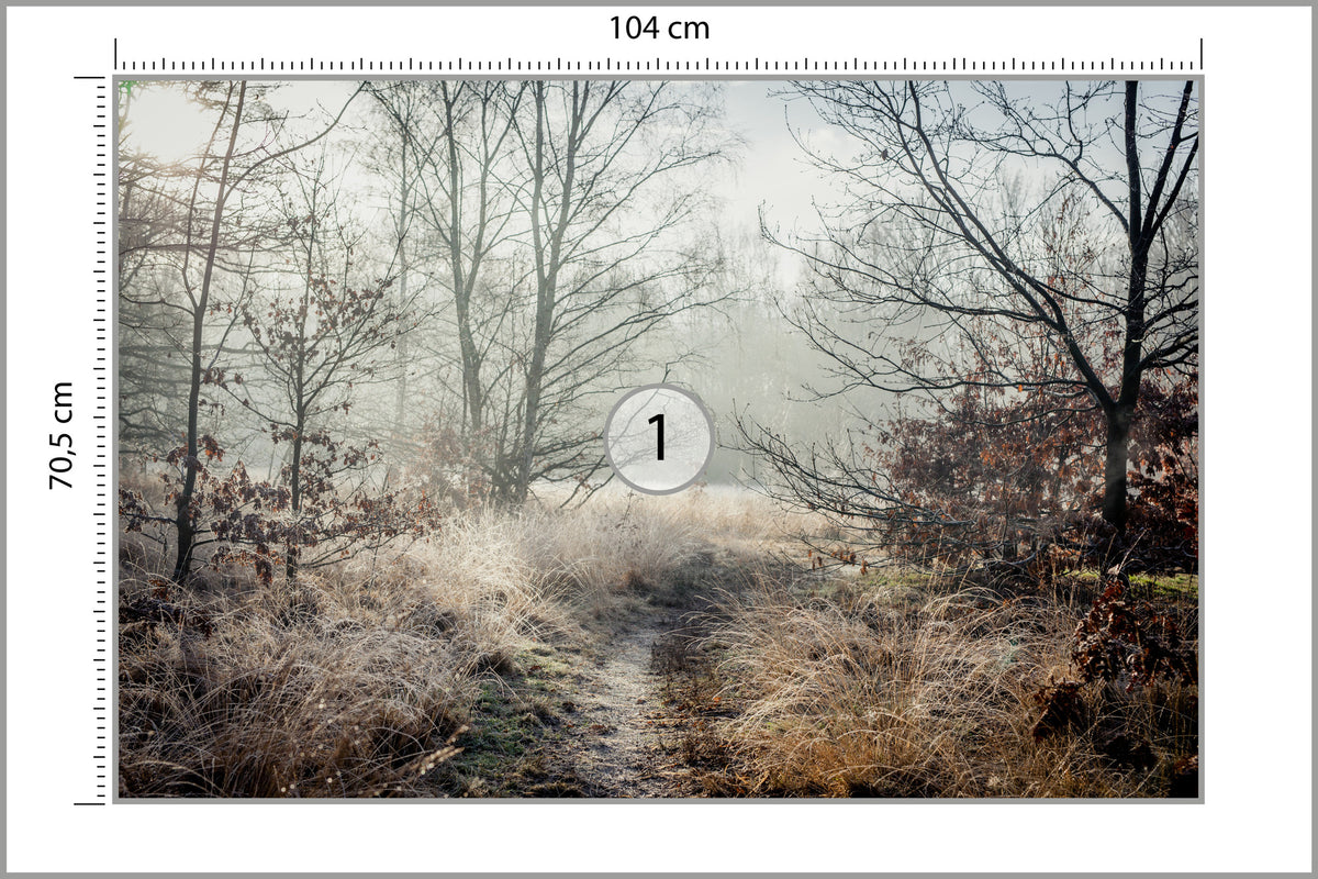 Fototapeta Las We Mgle Jesienna Ścieżka 104 × 70,5 cm – podgląd kadru