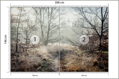 Fototapeta Las We Mgle Jesienna Ścieżka 208 × 146 cm – podgląd kadru