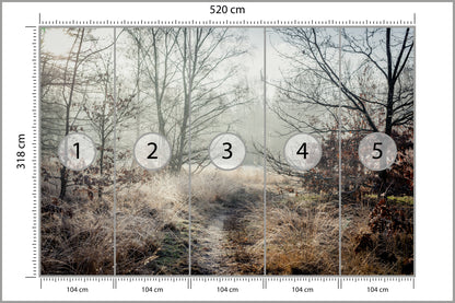 Fototapeta Las We Mgle Jesienna Ścieżka 520 × 318 cm – podgląd kadru