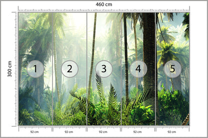 Fototapeta Las We Mgle Zielony Z Promieniami 460 × 300 cm – podgląd kadru