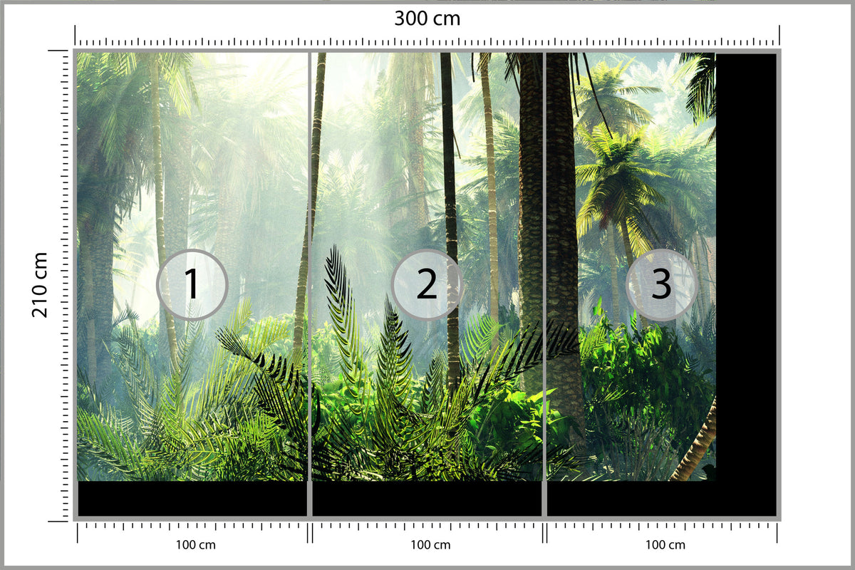 Fototapeta Las We Mgle Zielony Z Promieniami 300 × 210 cm – podgląd kadru