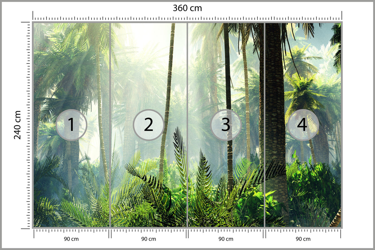 Fototapeta Las We Mgle Zielony Z Promieniami 360 × 240 cm – podgląd kadru