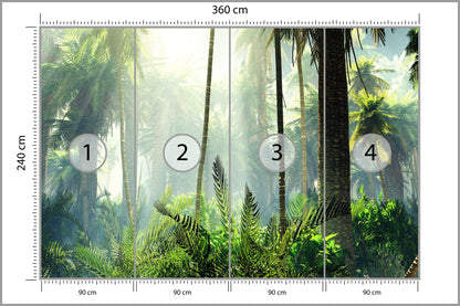 Fototapeta Las We Mgle Zielony Z Promieniami 360 × 240 cm – podgląd kadru