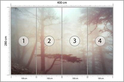 Fototapeta Las We Mgle W Ciepłej Poświacie 400 × 280 cm – podgląd kadru