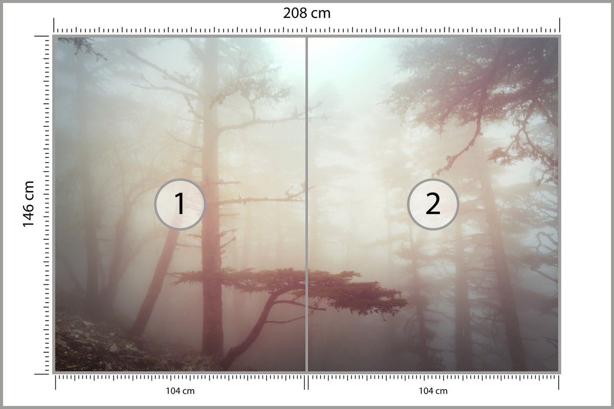 Fototapeta Las We Mgle W Ciepłej Poświacie 208 × 146 cm – podgląd kadru