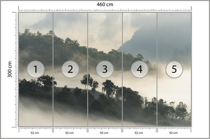 Fototapeta Las We Mgle Drzewa Na Skarpie 460 × 300 cm – podgląd kadru
