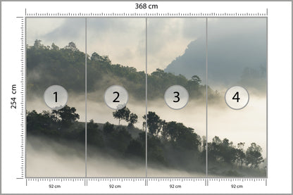 Fototapeta Las We Mgle Drzewa Na Skarpie 368 × 254 cm – podgląd kadru
