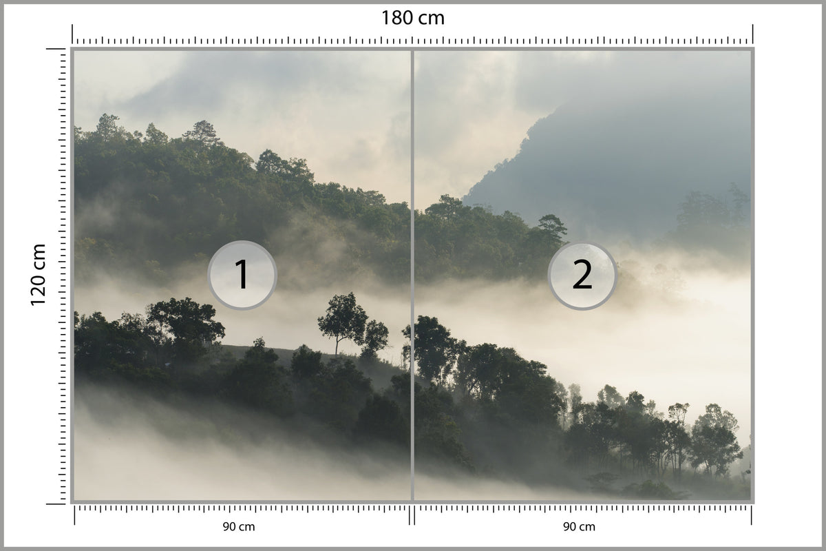 Fototapeta Las We Mgle Drzewa Na Skarpie 180 × 120 cm – podgląd kadru