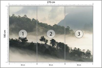 Fototapeta Las We Mgle Drzewa Na Skarpie 270 × 180 cm – podgląd kadru