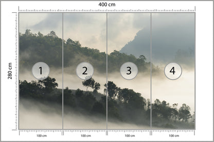 Fototapeta Las We Mgle Drzewa Na Skarpie 400 × 280 cm – podgląd kadru