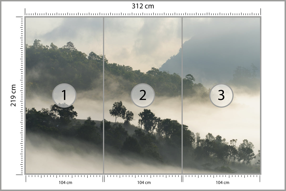 Fototapeta Las We Mgle Drzewa Na Skarpie 312 × 219 cm – podgląd kadru