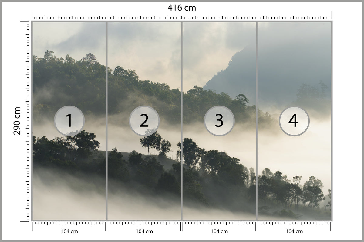 Fototapeta Las We Mgle Drzewa Na Skarpie 416 × 290 cm – podgląd kadru