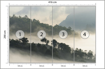 Fototapeta Las We Mgle Drzewa Na Skarpie 416 × 290 cm – podgląd kadru