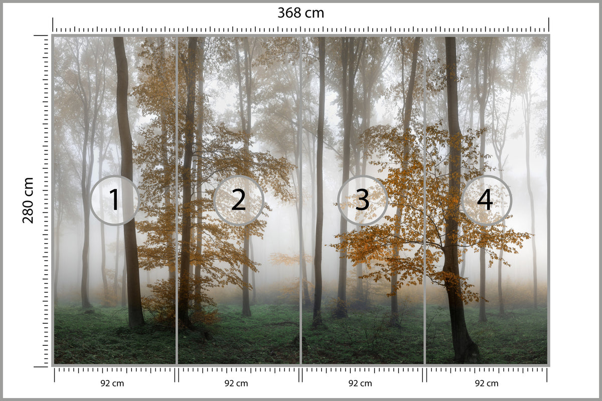 Fototapeta Las We Mgle Złota Jesień 368 × 280 cm – podgląd kadru