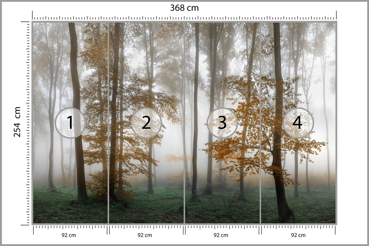 Fototapeta Las We Mgle Złota Jesień 368 × 254 cm – podgląd kadru