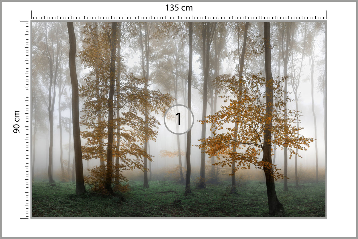 Fototapeta Las We Mgle Złota Jesień 135 × 90 cm – podgląd kadru