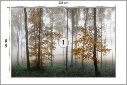 Fototapeta Las We Mgle Złota Jesień 135 × 90 cm – podgląd kadru