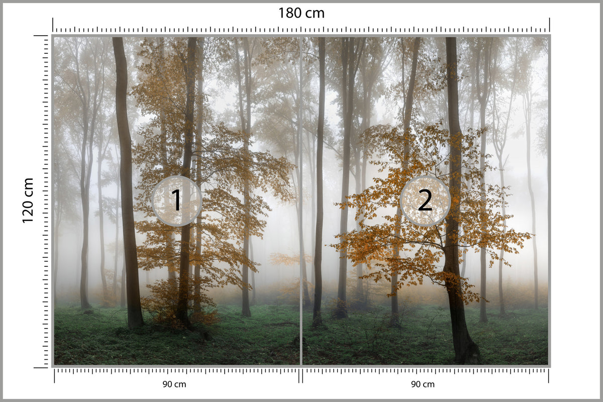 Fototapeta Las We Mgle Złota Jesień 180 × 120 cm – podgląd kadru