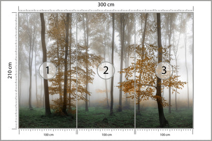 Fototapeta Las We Mgle Złota Jesień 300 × 210 cm – podgląd kadru