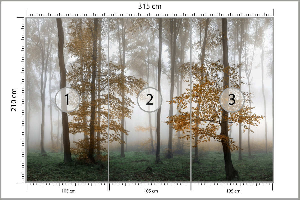 Fototapeta Las We Mgle Złota Jesień 315 × 210 cm – podgląd kadru