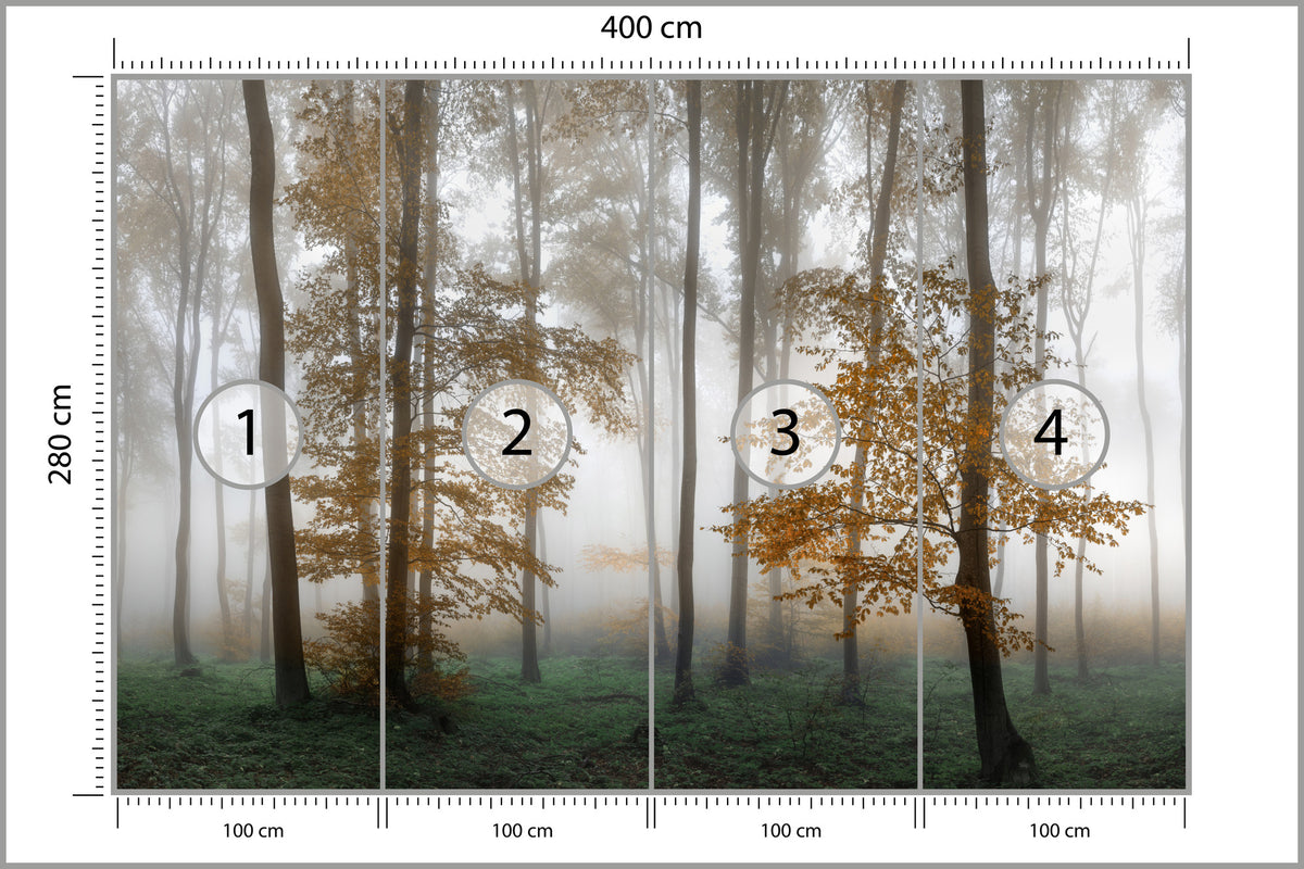 Fototapeta Las We Mgle Złota Jesień 400 × 280 cm – podgląd kadru