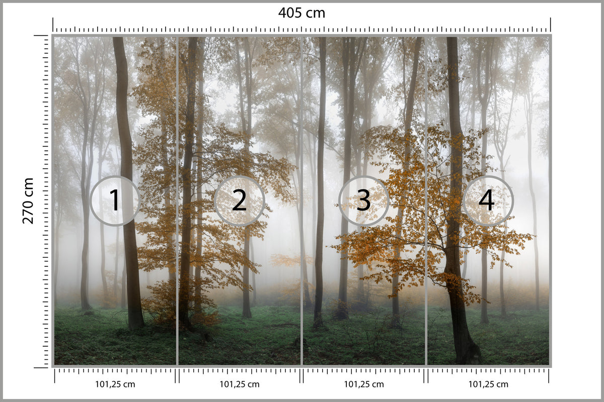 Fototapeta Las We Mgle Złota Jesień 405 × 270 cm – podgląd kadru