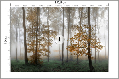 Fototapeta Las We Mgle Złota Jesień 152,5 × 104 cm – podgląd kadru
