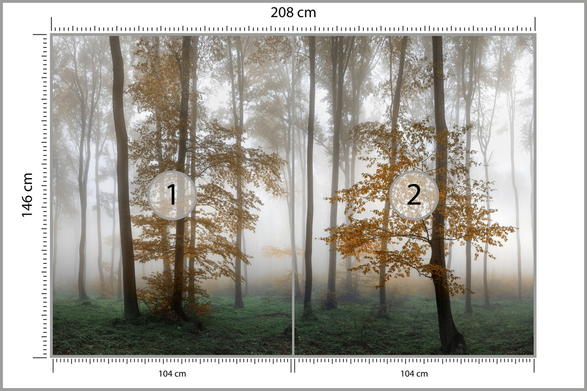 Fototapeta Las We Mgle Złota Jesień 208 × 146 cm – podgląd kadru