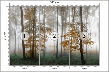 Fototapeta Las We Mgle Złota Jesień 312 × 219 cm – podgląd kadru