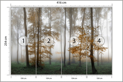 Fototapeta Las We Mgle Złota Jesień 416 × 254 cm – podgląd kadru
