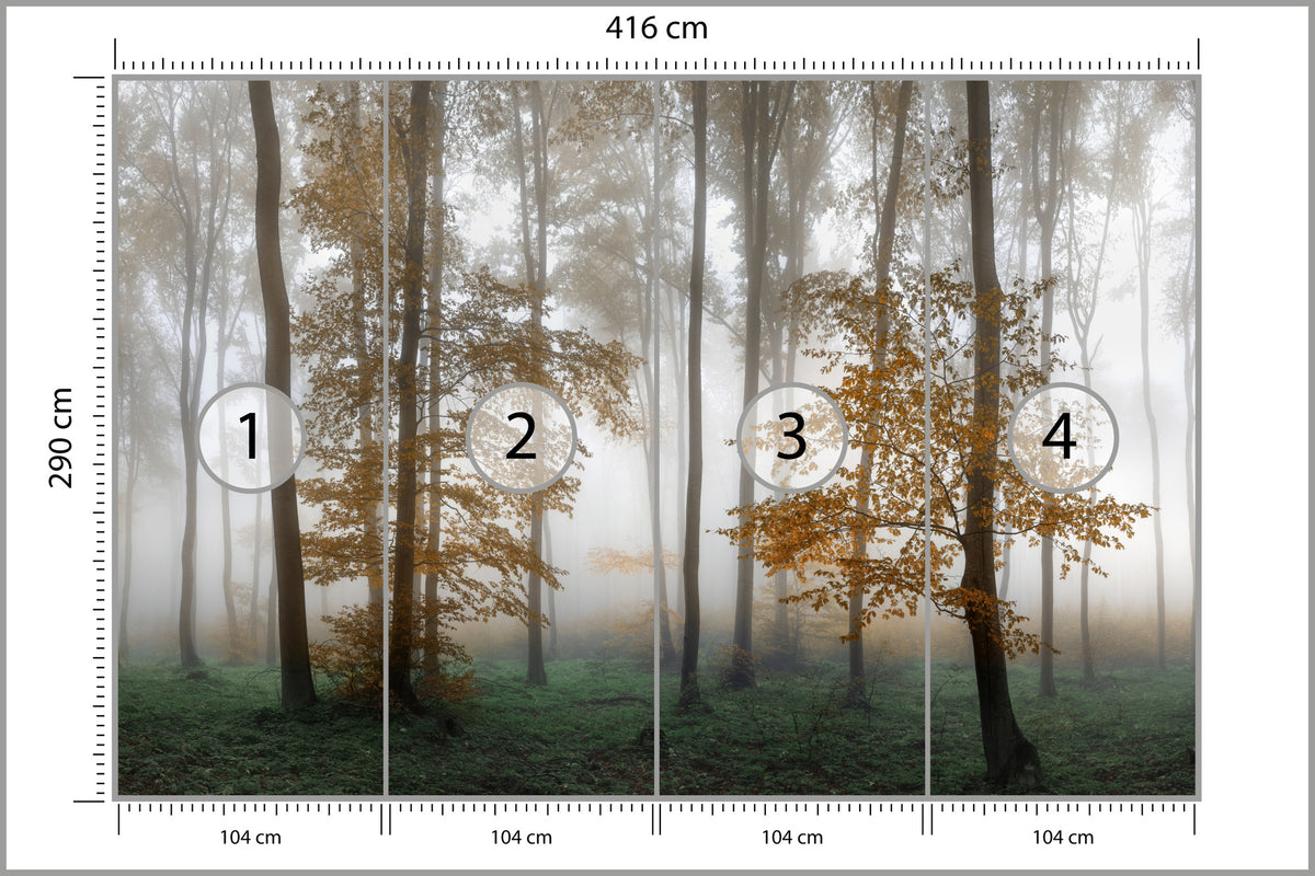 Fototapeta Las We Mgle Złota Jesień 416 × 290 cm – podgląd kadru