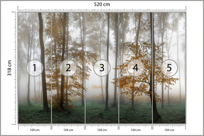 Fototapeta Las We Mgle Złota Jesień 520 × 318 cm – podgląd kadru