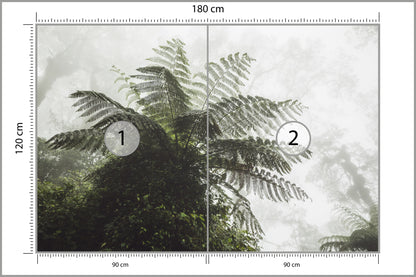 Fototapeta Las We Mgle Paproć Drzewiasta 180 × 120 cm – podgląd kadru