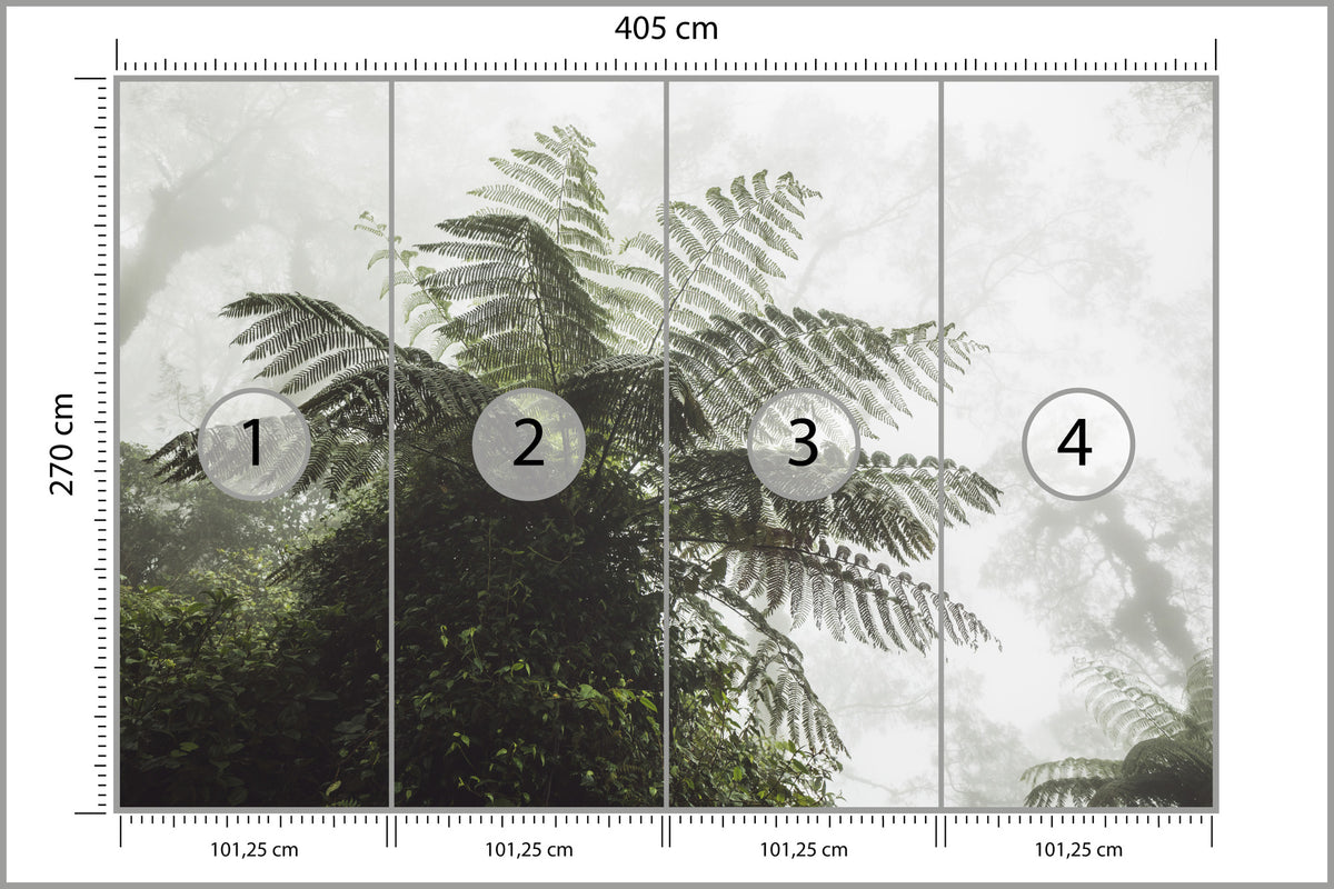 Fototapeta Las We Mgle Paproć Drzewiasta 405 × 270 cm – podgląd kadru