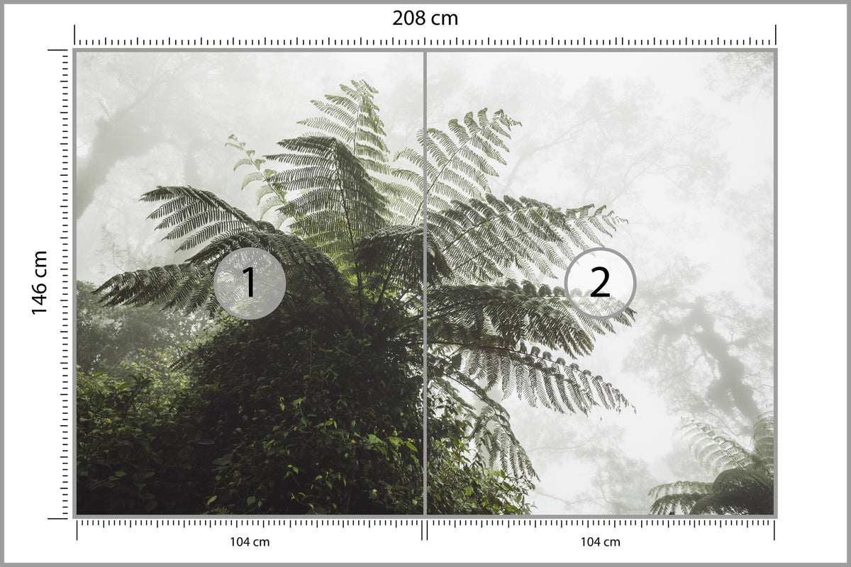Fototapeta Las We Mgle Paproć Drzewiasta 208 × 146 cm – podgląd kadru