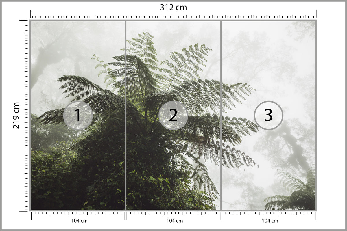 Fototapeta Las We Mgle Paproć Drzewiasta 312 × 219 cm – podgląd kadru