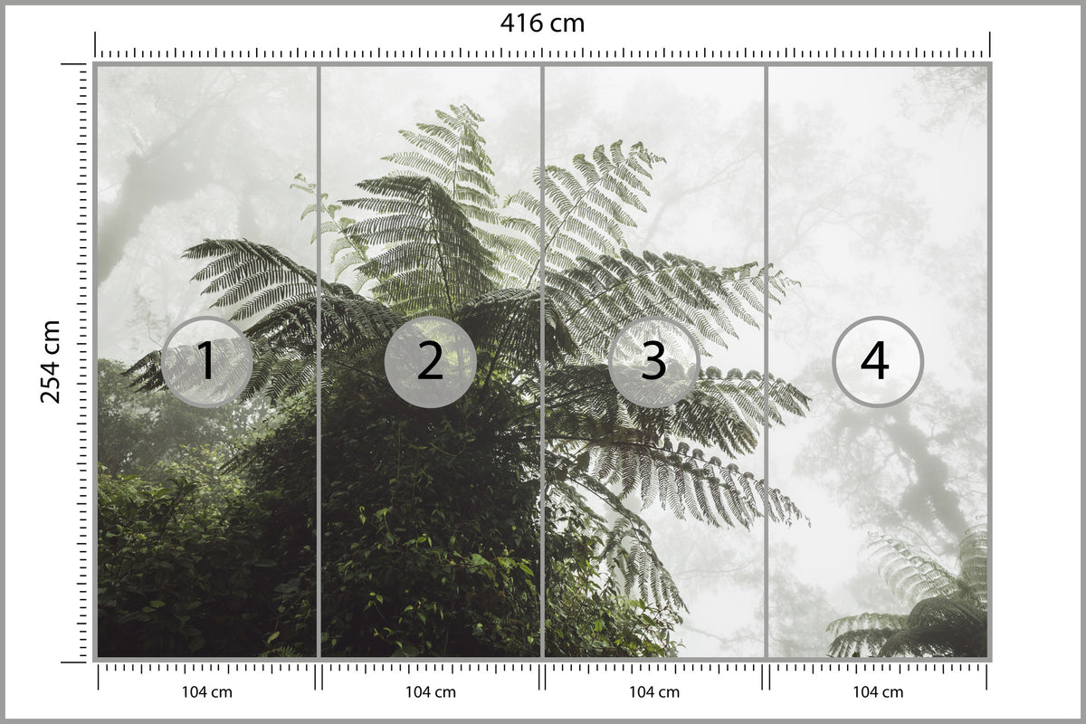 Fototapeta Las We Mgle Paproć Drzewiasta 416 × 254 cm – podgląd kadru