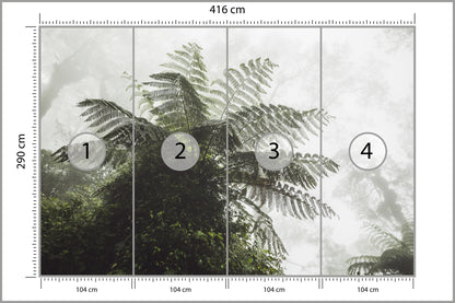 Fototapeta Las We Mgle Paproć Drzewiasta 416 × 290 cm – podgląd kadru