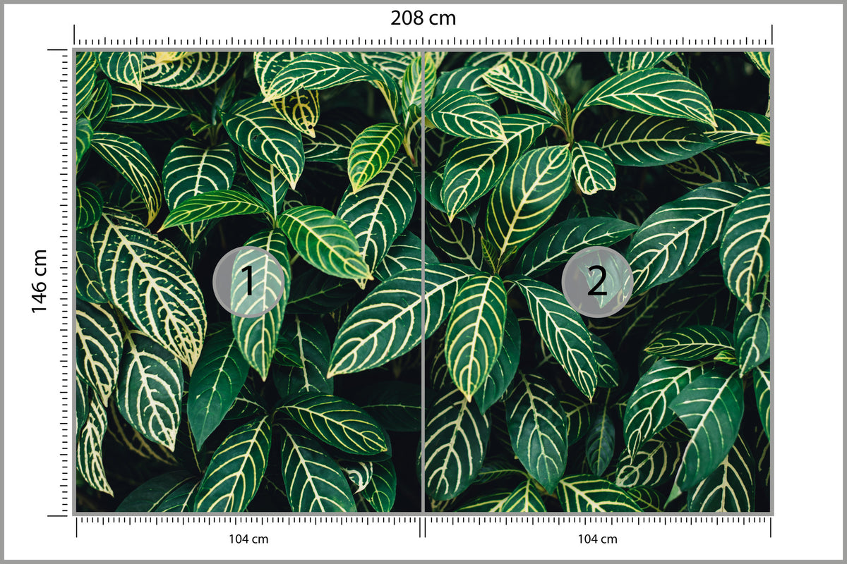 Fototapeta Liście Tropikalne Gęsta Zieleń 208 × 146 cm – podgląd kadru